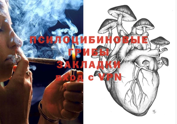 PSILOCYBIN Верхнеуральск