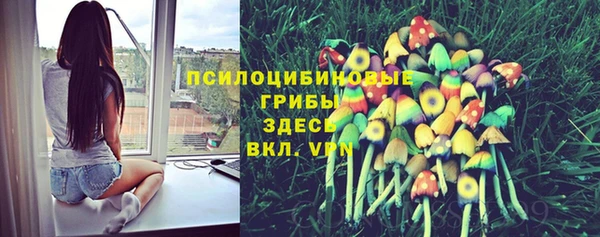 PSILOCYBIN Верхнеуральск