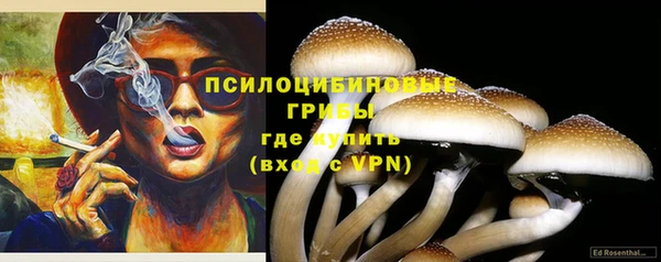 PSILOCYBIN Верхнеуральск